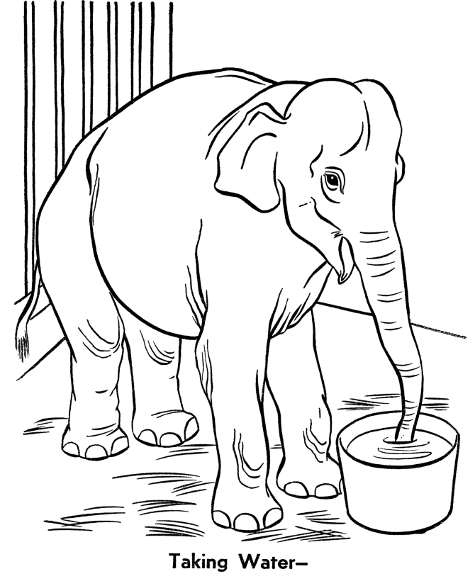 Elephant printable coloring pages zoo animal coloring pages elephant coloring page zoo coloring pages