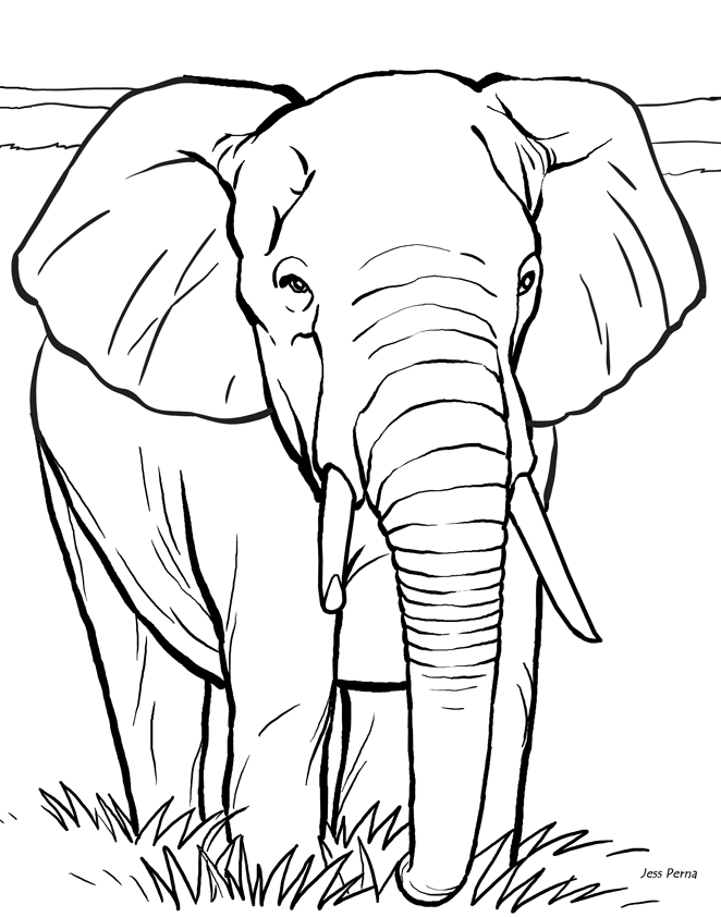Coloring books