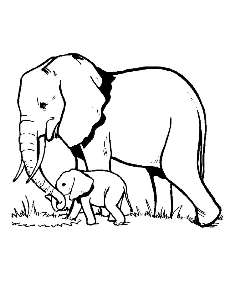 Coloring book page elephant coloring page elephant drawing elephant drawing for kids