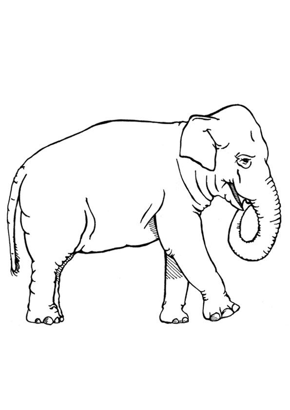 Elephant coloring page for kids elephant coloring page coloring pages coloring pages to print