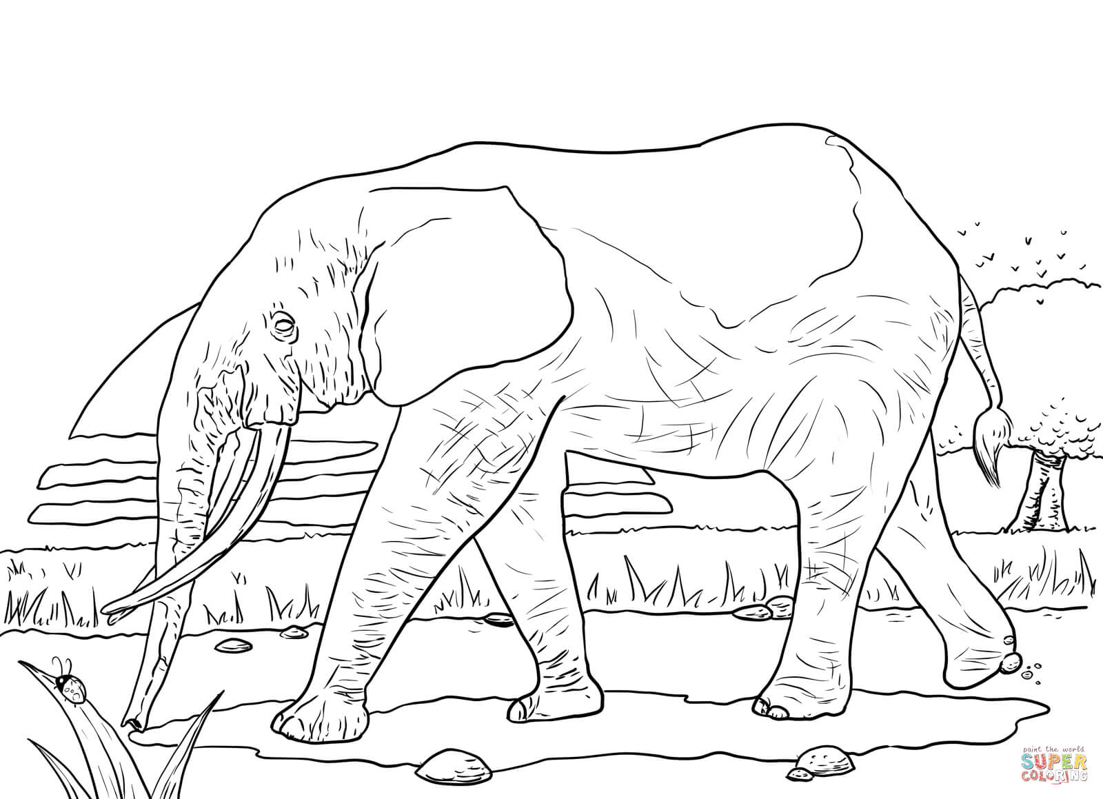 African forest elephant coloring page free printable coloring pages