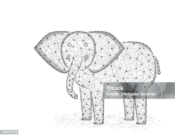 Elephant low poly design african animal polygonal wireframe vector illustration made from points and lines on a white background stock illustration