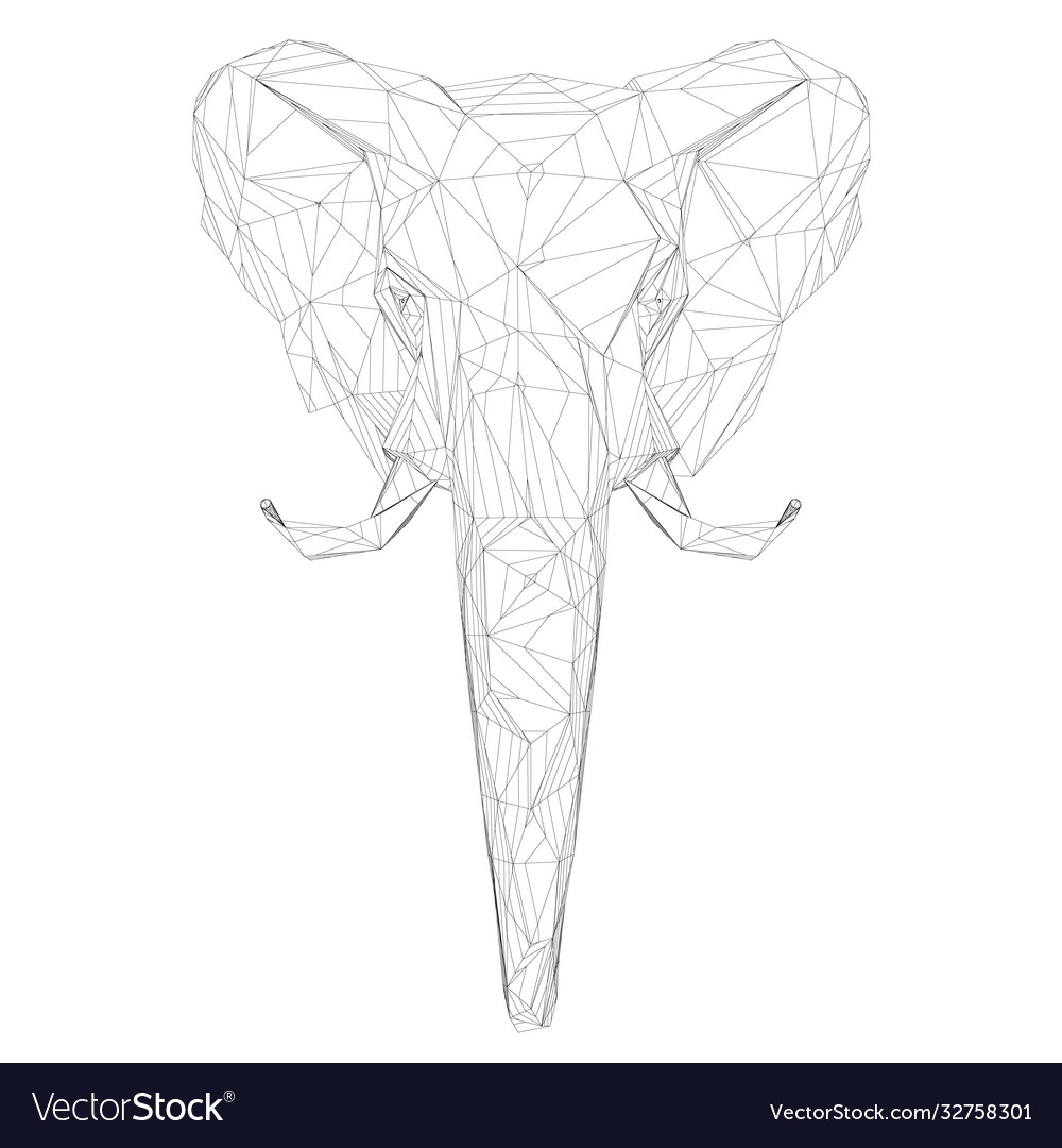Wireframe a low poly elephant head front view vector image