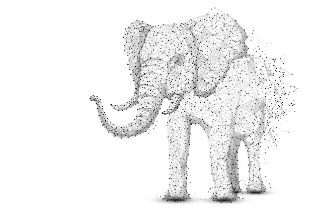 Premium vector elephant isolated from low poly wireframe on white background african and indian animal
