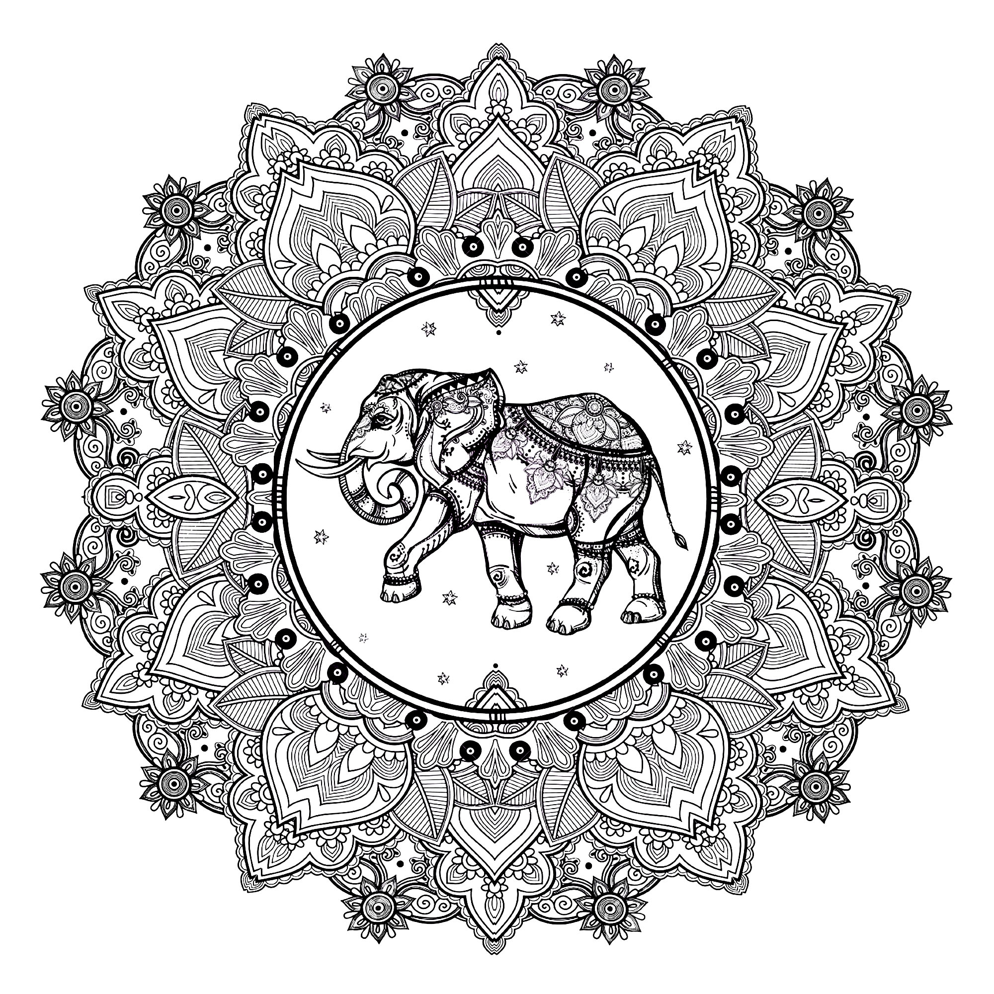 Mandala with elephant and indian inspired patterns