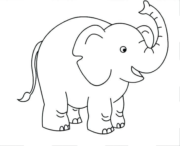 Elephant coloring pages pdf