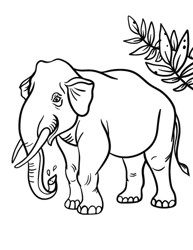 Free elephant coloring page