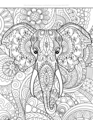 Adult elephant coloring sheet facing forward