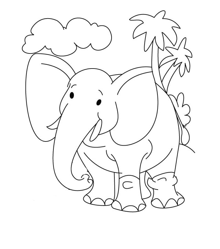 Elephant