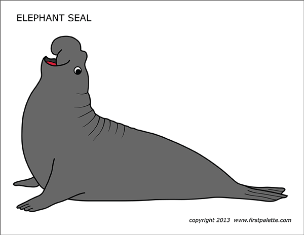 Elephant seal free printable templates coloring pages