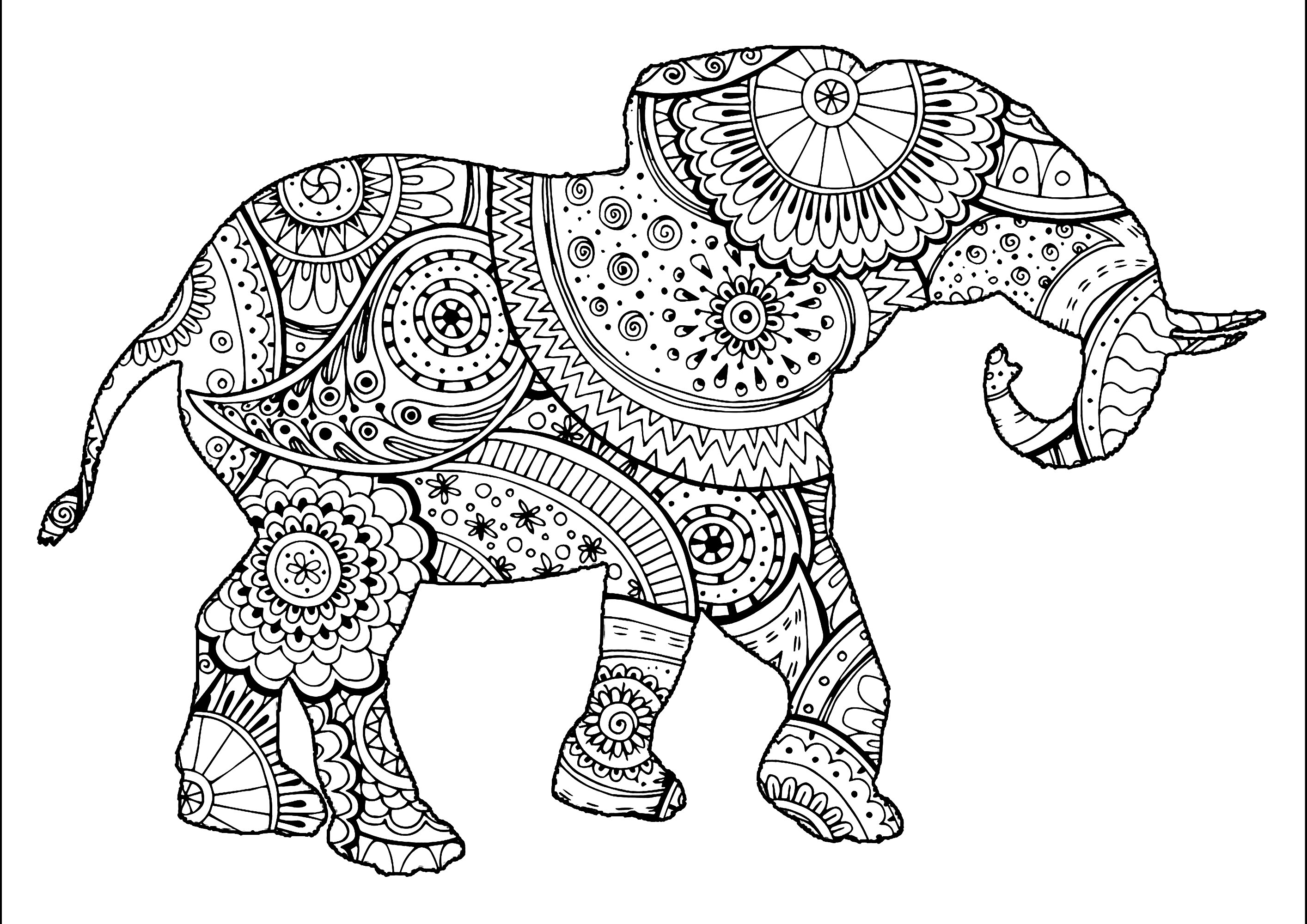Elephant with zentangle and paisley motifs