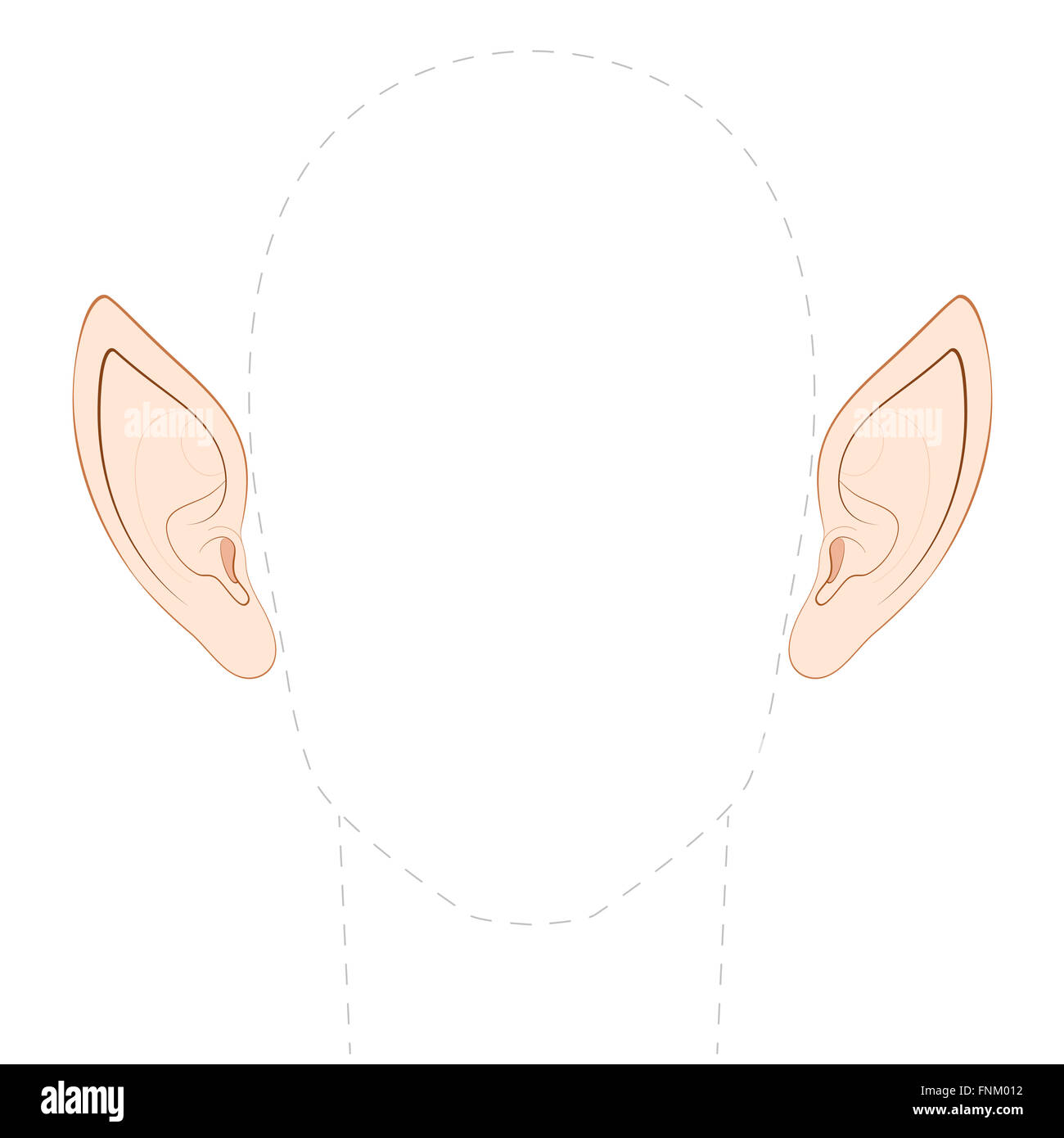 Pointed ears hi