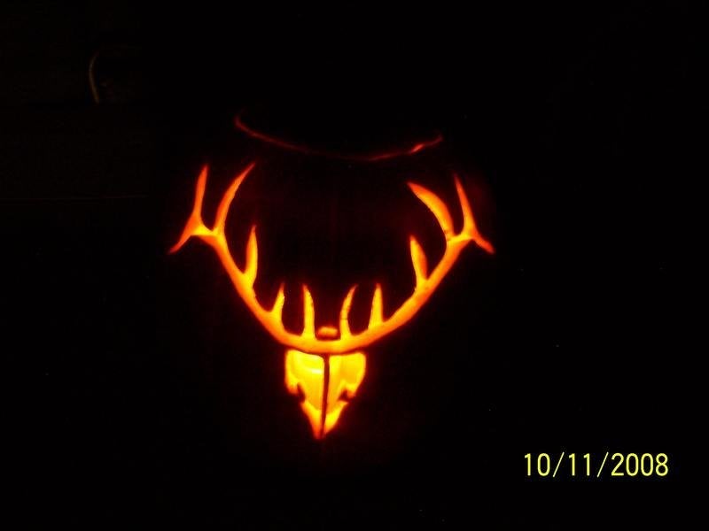 Pumpkin carvings elk archery talk forum