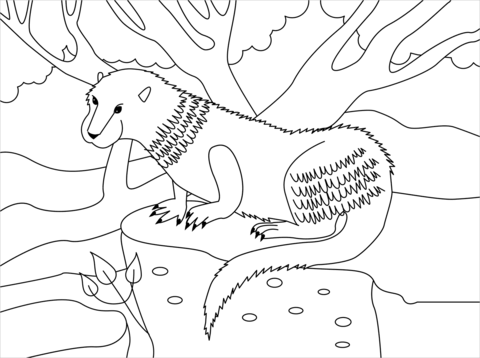 Otter coloring page free printable coloring pages
