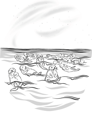 Raft of sea otters coloring page free printable coloring pages