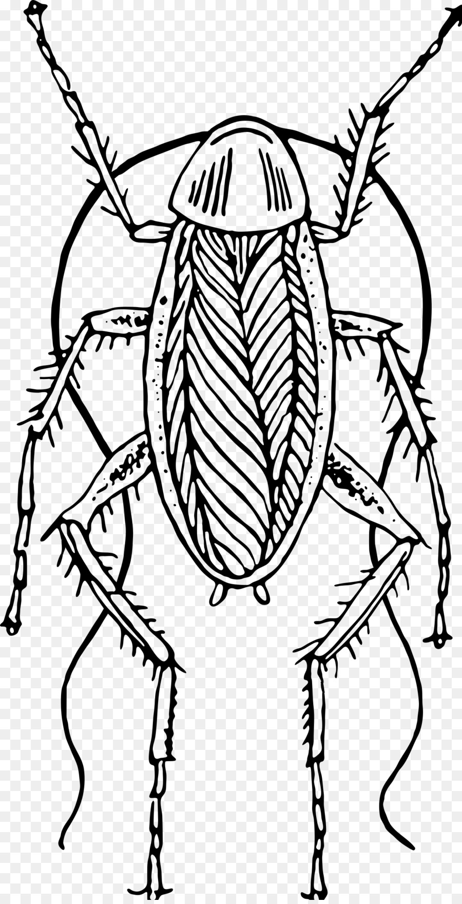 Tree drawing png download