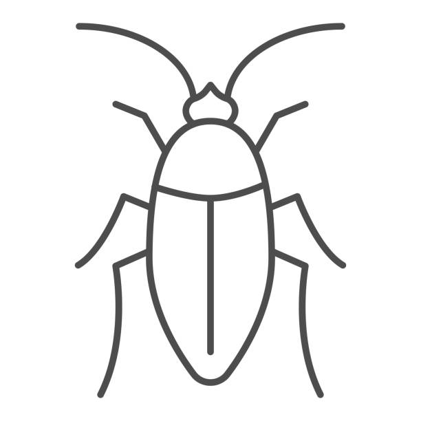 Cockroach face stock illustrations royalty