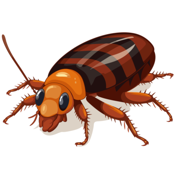 Cockroach cartoon png picture cockroach emoji cartoon brown cockroach pest cute png image for free download