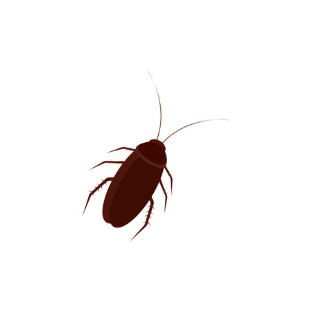 Cockroach white background cliparts stock vector and royalty free cockroach white background illustrations