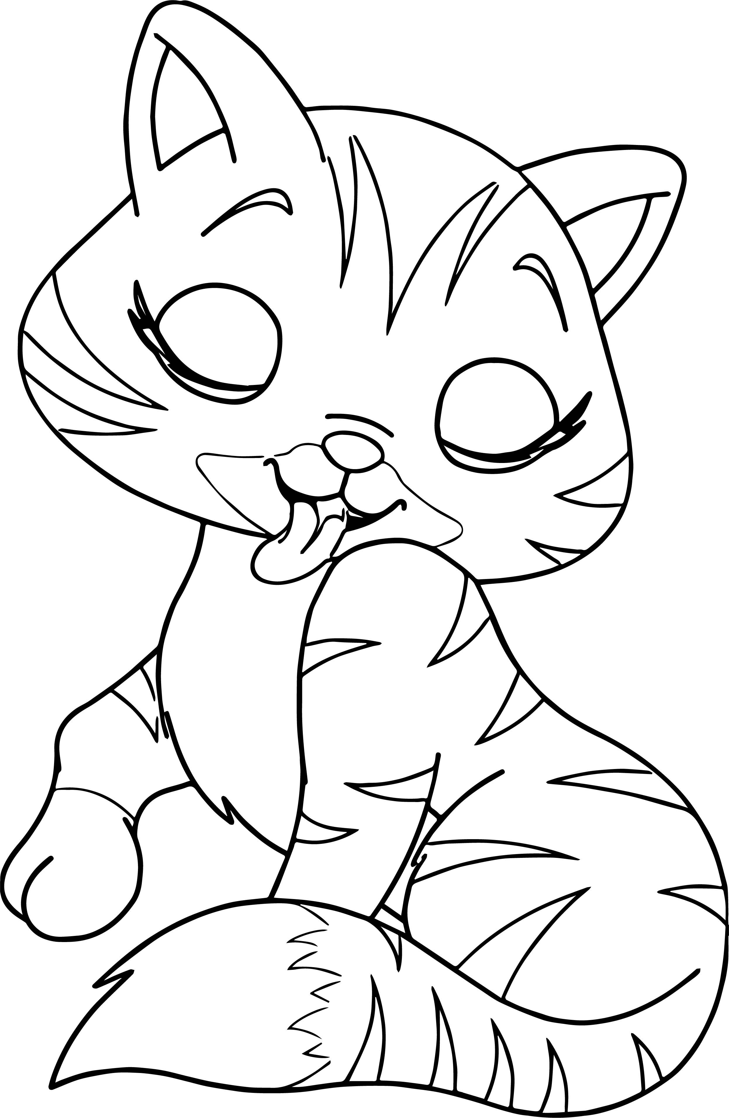 Cat love me coloring page