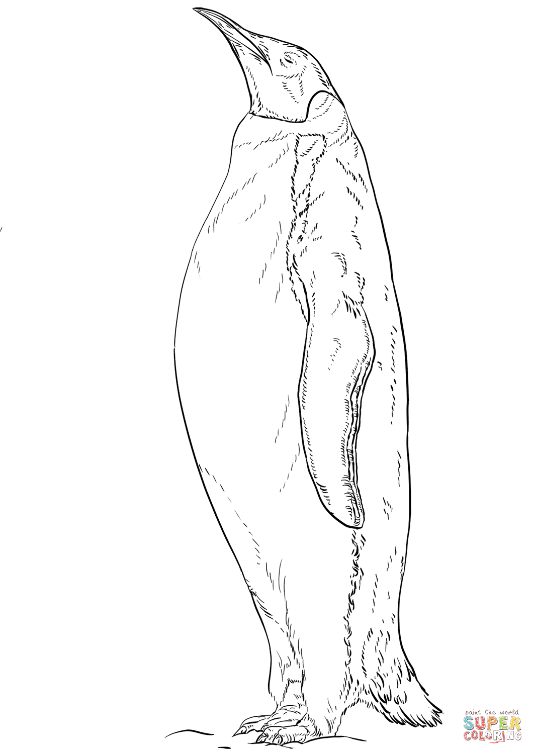 Emperor penguin coloring page free printable coloring pages