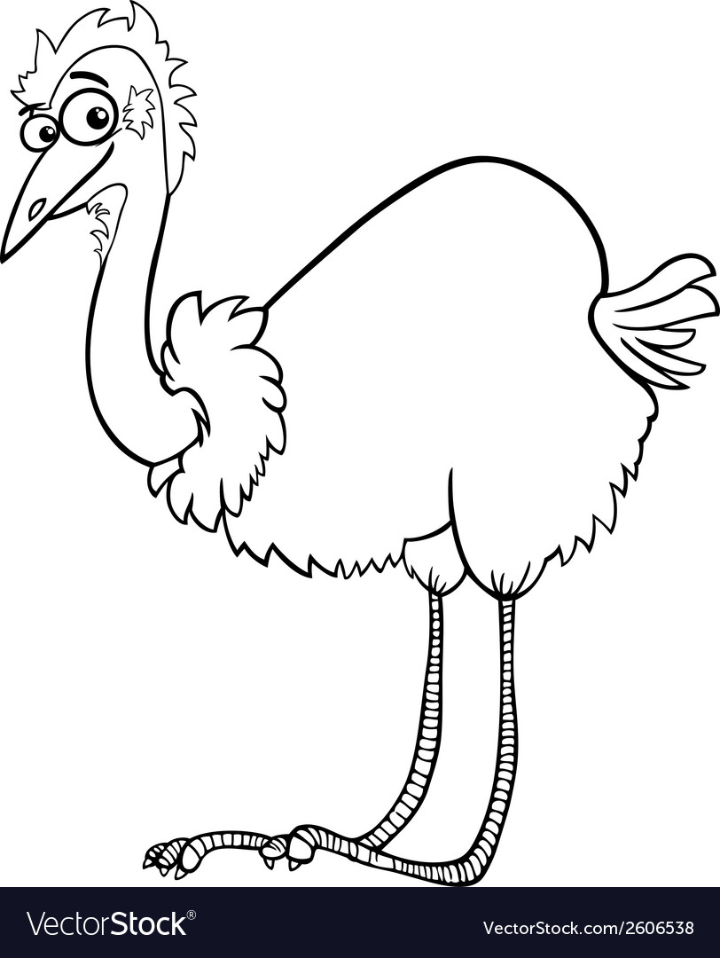 Emu ostrich cartoon coloring page royalty free vector image