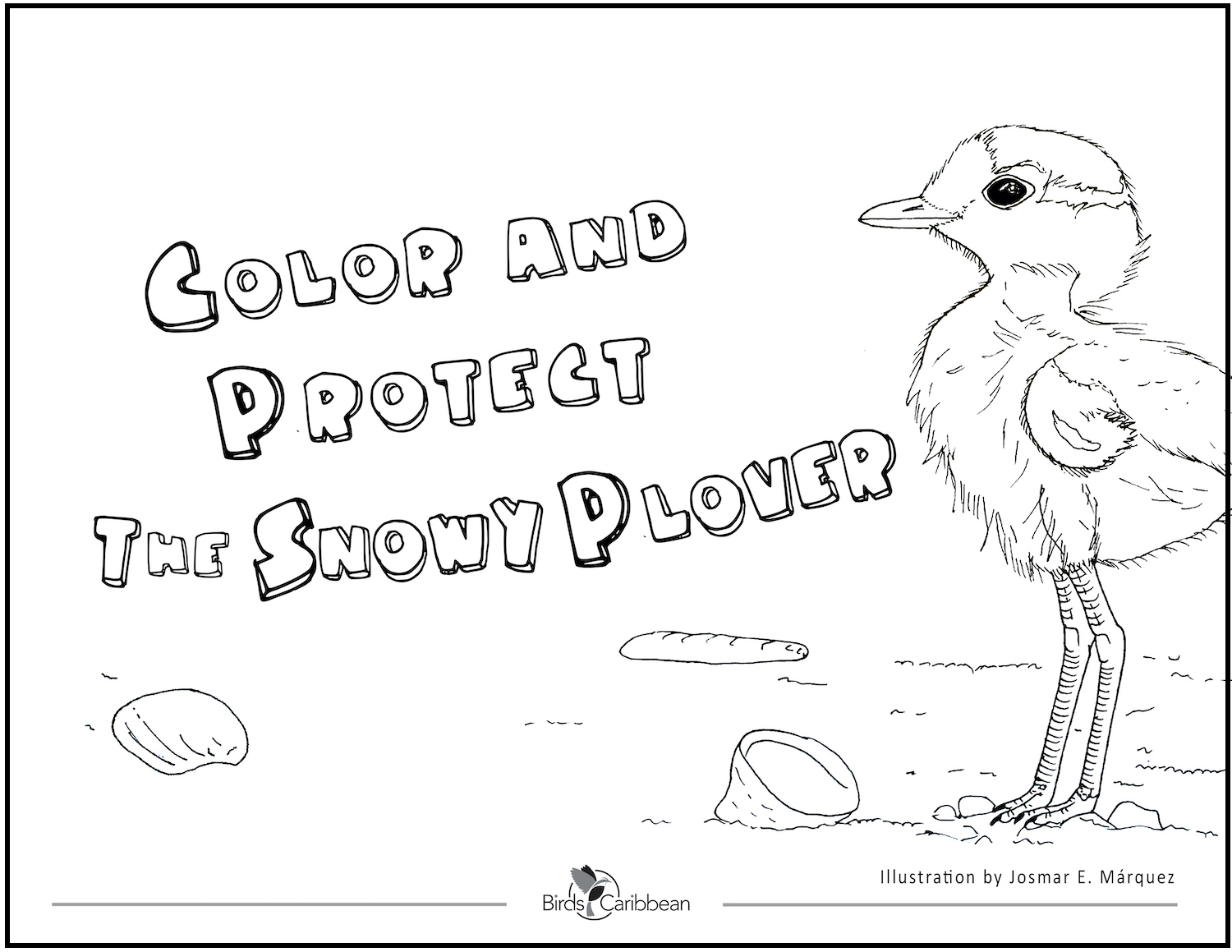 New coloring book color and protect the snowy plover â english and spanish â