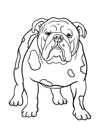 Free nature coloring pages dog coloring page puppy coloring pages bulldog drawing
