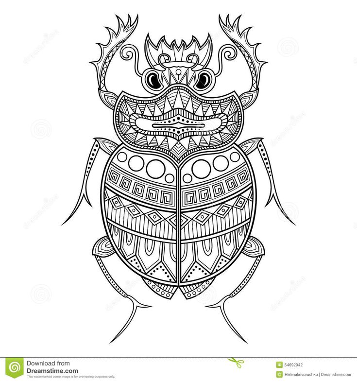 Escarabajo diseão