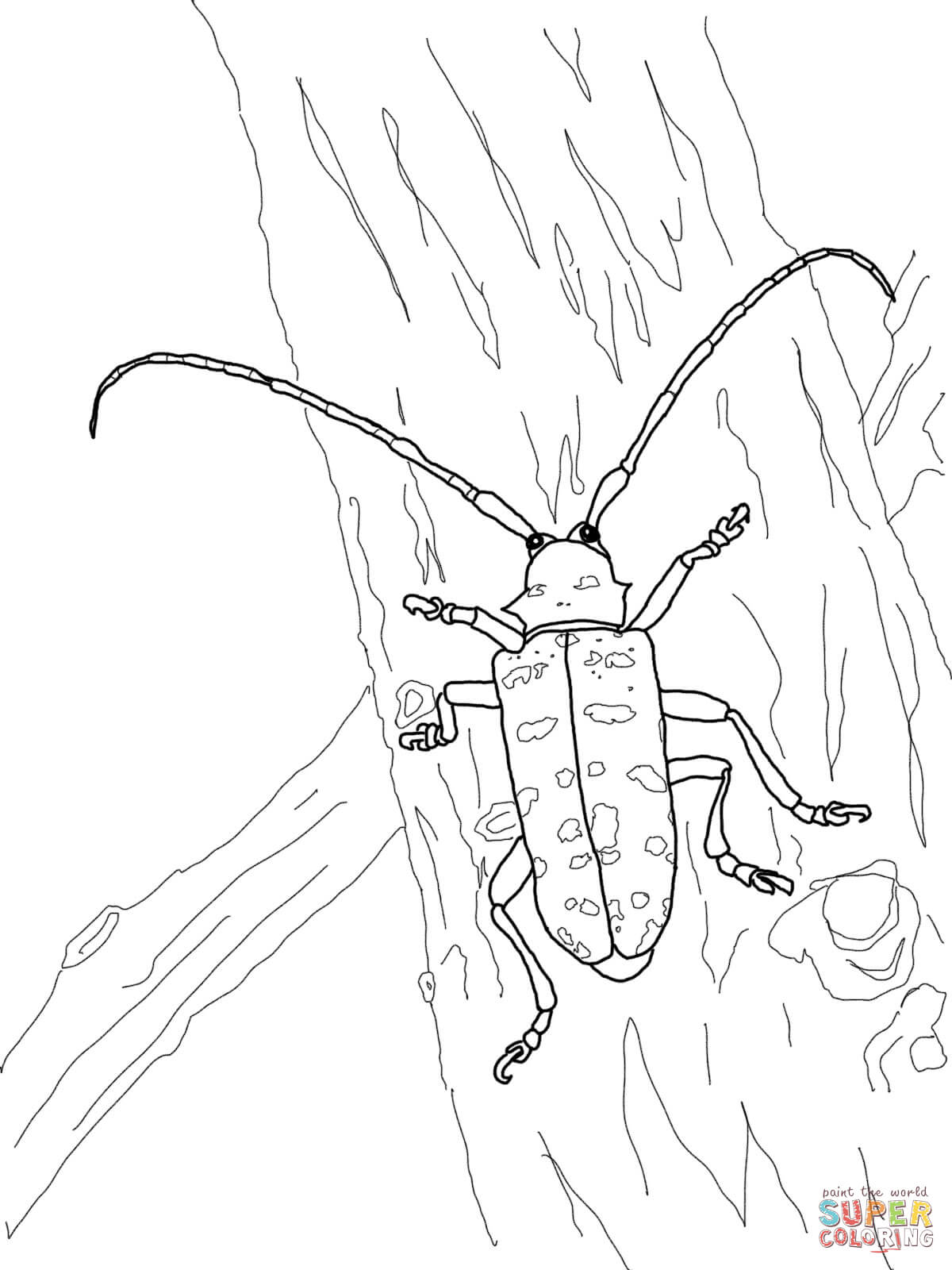 Dibujo de escarabajo asiãtico de los cuernos para colorear dibujos para colorear imprimir gratis
