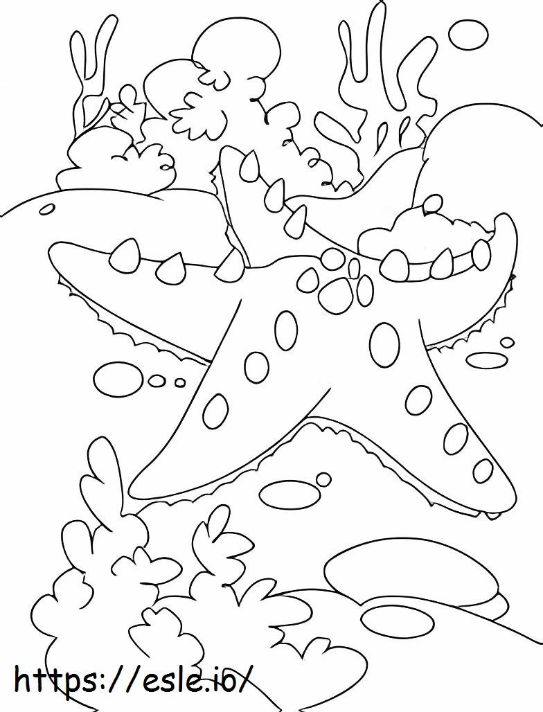 Bonita estrella del mar para colorear