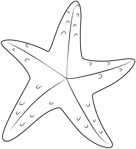 Plantilla imprimible de estrella de mar manualidades de papel para niãos