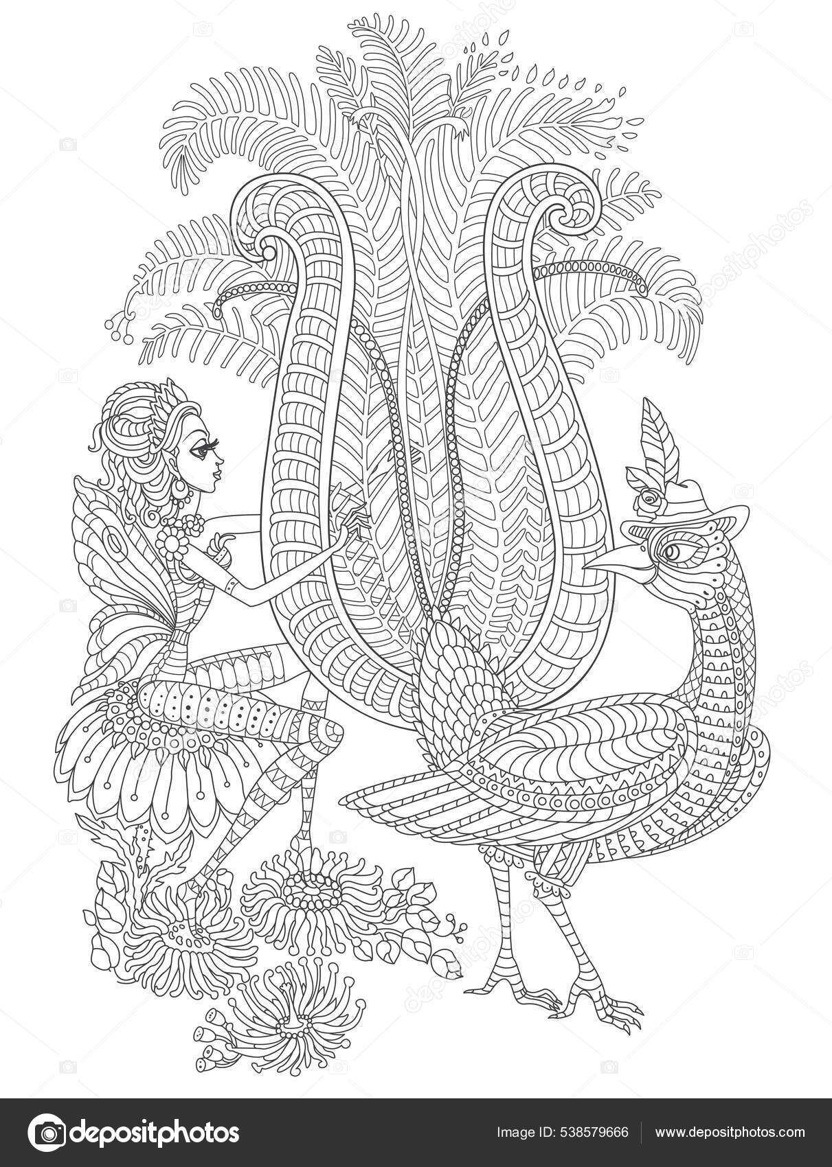 Vector fantasy stylized jungle lyrebird silhouette pixie girl eucalyptus leaves stock vector by lkramer