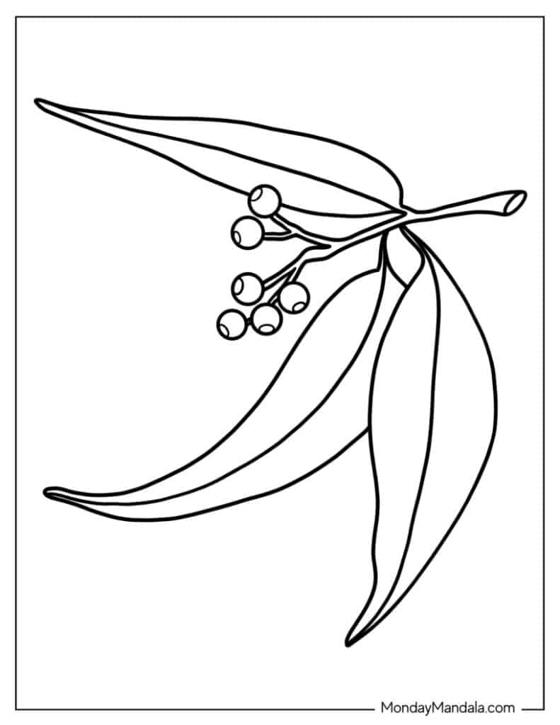 Leaf coloring pages free pdf printables