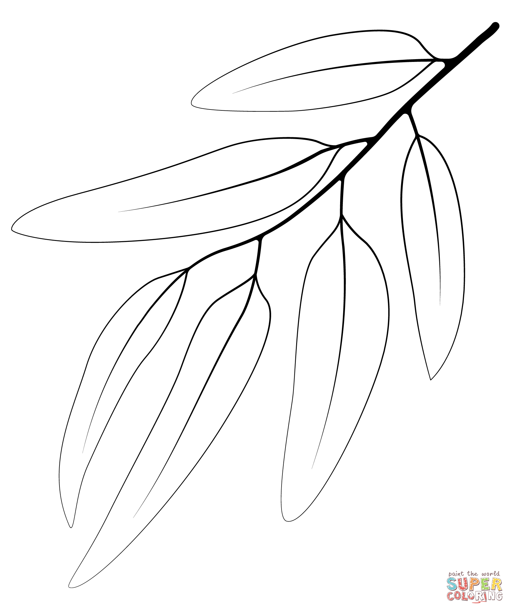 Blue gum leaf coloring page free printable coloring pages