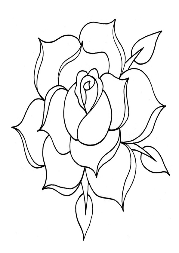 Coloring pages traditional rose coloring pages