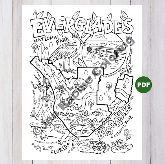 Everglades biscayne national park coloring page