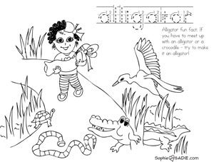 Coloring page everglades national park sophie and sadie