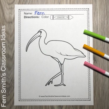 Florida everglades coloring pages dollar deal