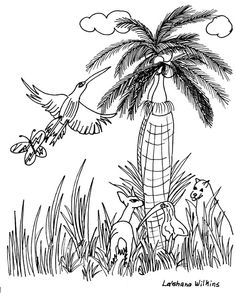 Everglades art projects ideas art projects everglades art
