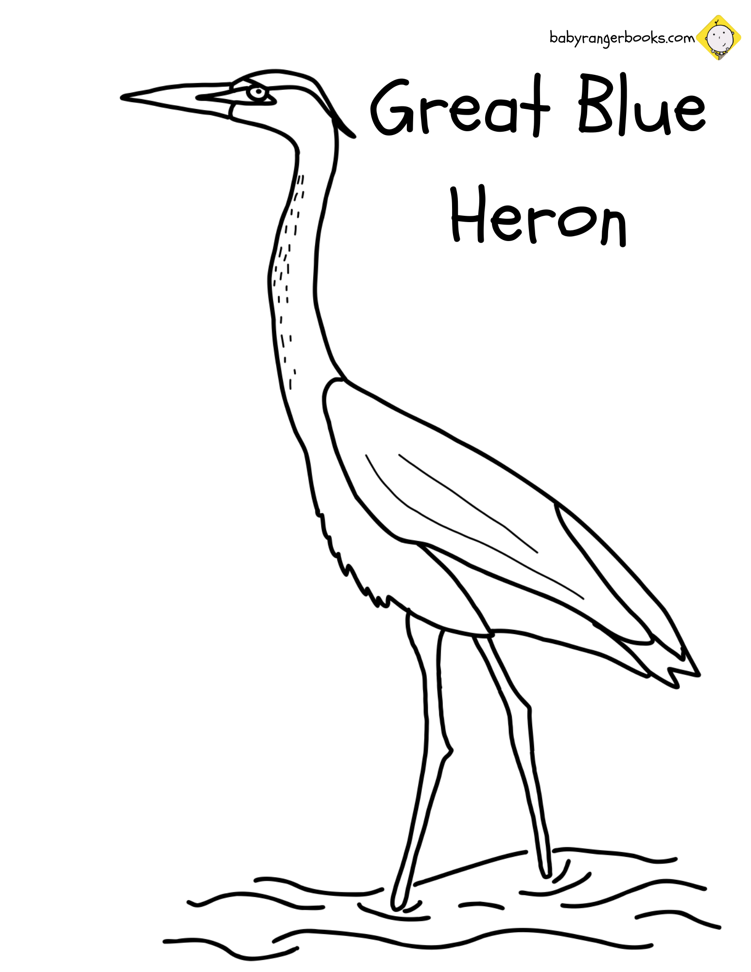 Everglades national park â coloring pages