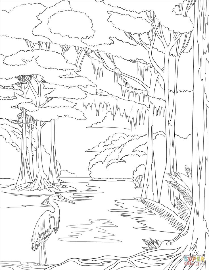 Pin by david shelby on pottery ideas coloring pages cool coloring pages free printable coloring pages