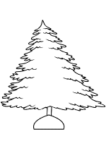 Evergreen conifer trees coloring pages and printable activities