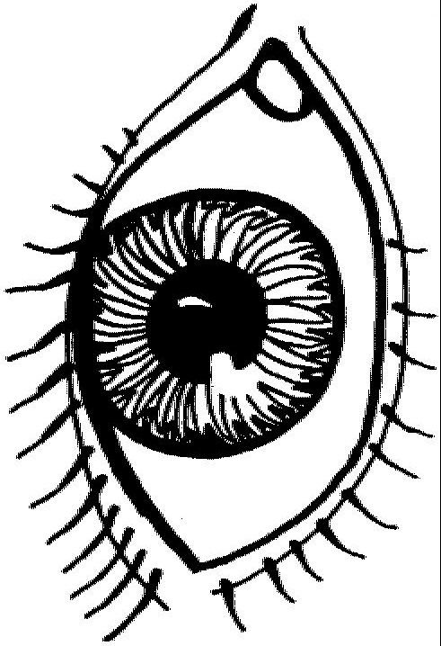 Human body worksheets human body coloring pages