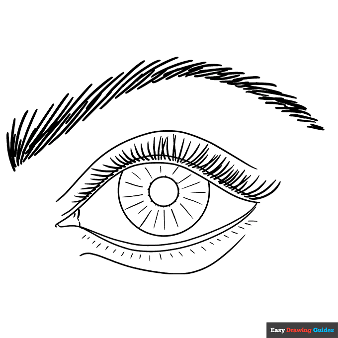 Free printable human body coloring pages for kids