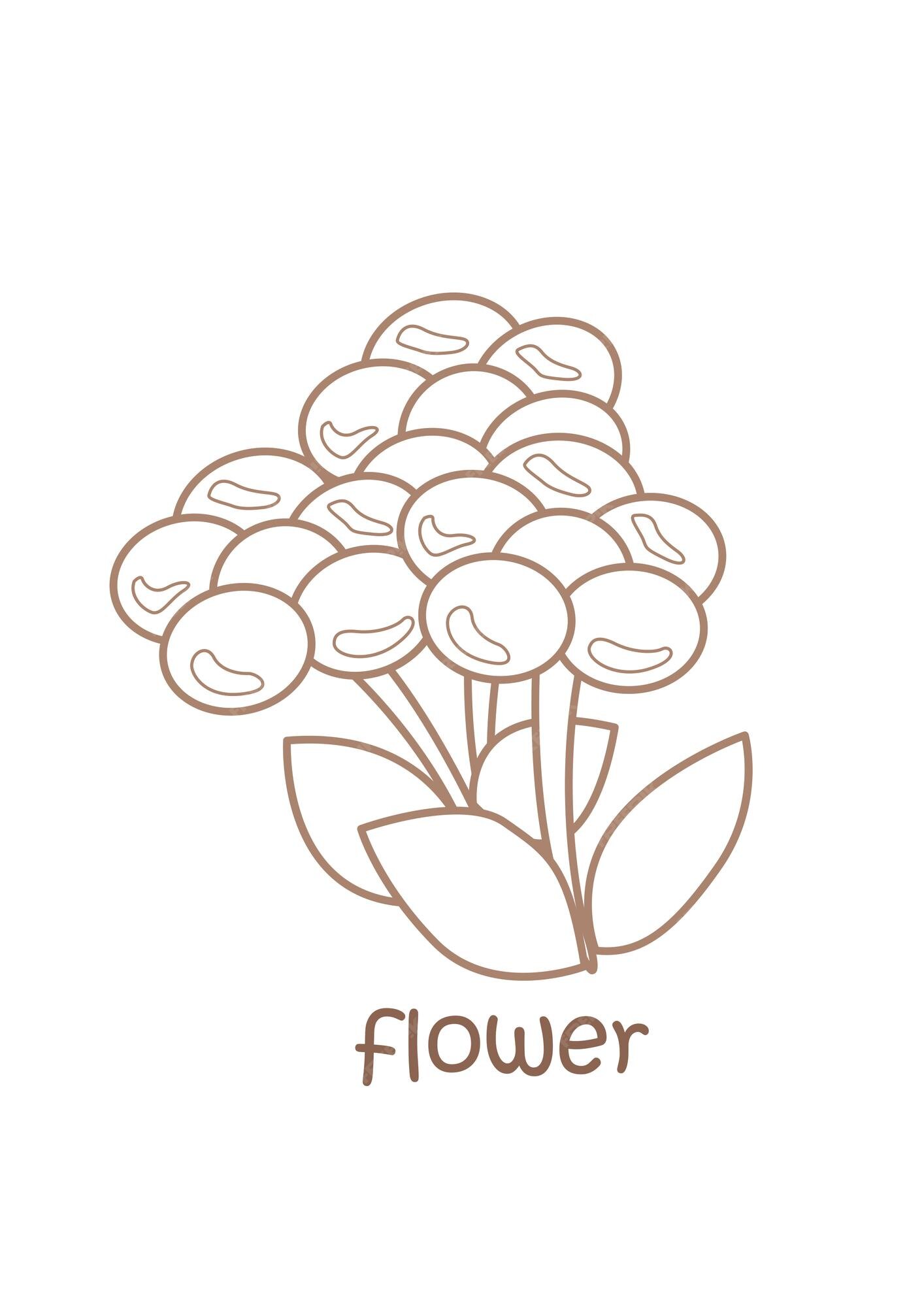 Premium vector alphabet f for flower coloring pages a for kids and adult