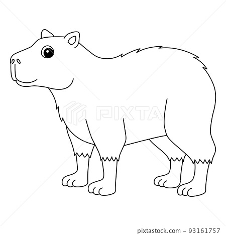 Capybara animal isolated coloring page for kids