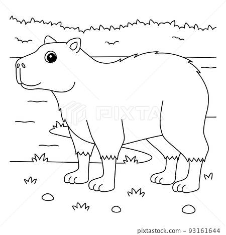 Capybara animal coloring page for kids
