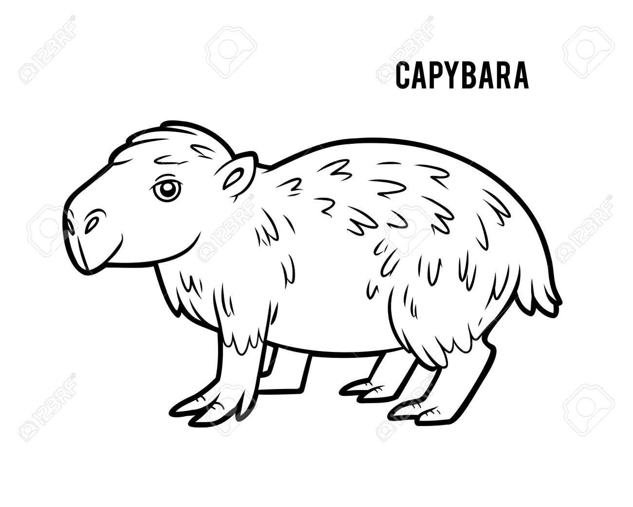 Coloring book for children capybara royalty free svg cliparts vectors and stock illustration image