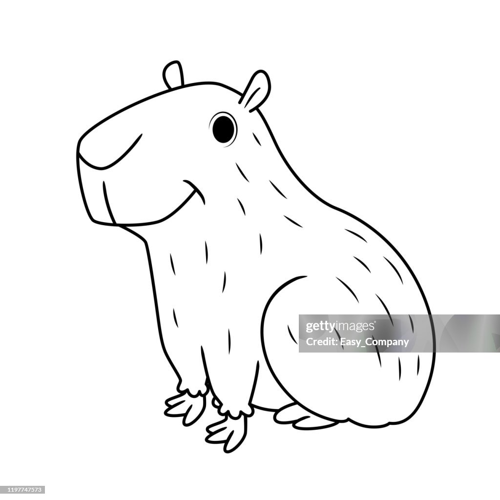 Vector illustration of capybara isolated on white background for kids coloring book high